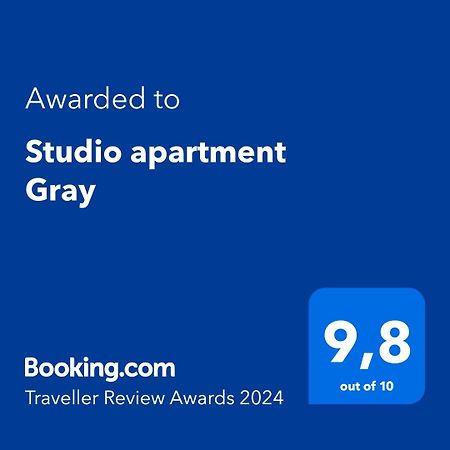 Studio Apartment Gray シベニク エクステリア 写真